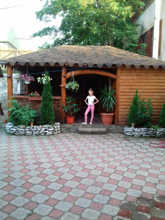Над Вичов Volovets Exteriör bild