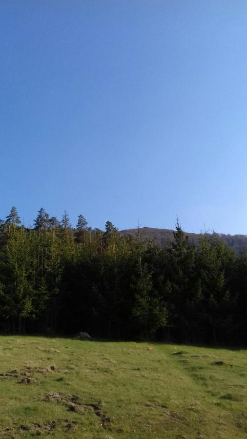 Над Вичов Volovets Exteriör bild